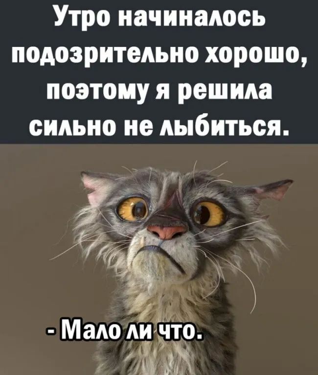 Утро начиналось подозрительно хорошо поэтому я решила сильно не дыбиться ж 4 чк __ к Мадо АИ что Жак