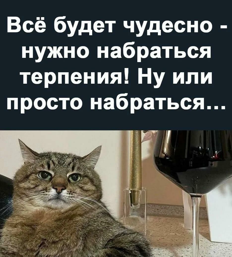Всё будет чудесно нужно набраться терпения Ну или просто набраться