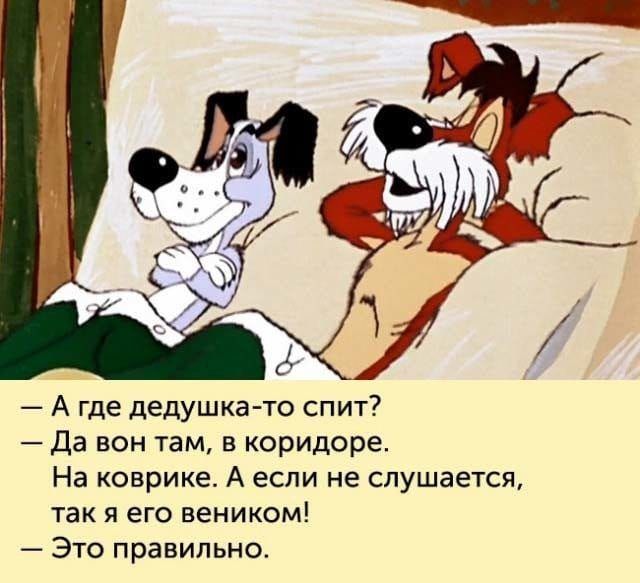 А где дедушка то спит Да вон там в коридоре На коврике А если не слушается так я его веником Это правильно