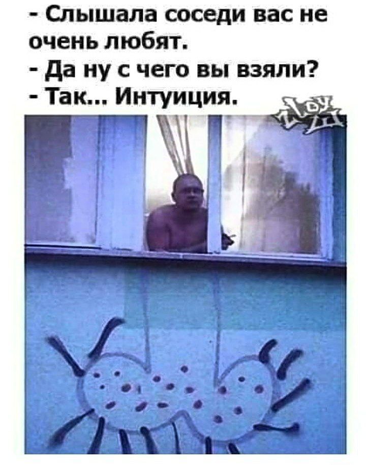 Слышала соседи вас не очень любят да ну с чего вы взяли Так Интуиция