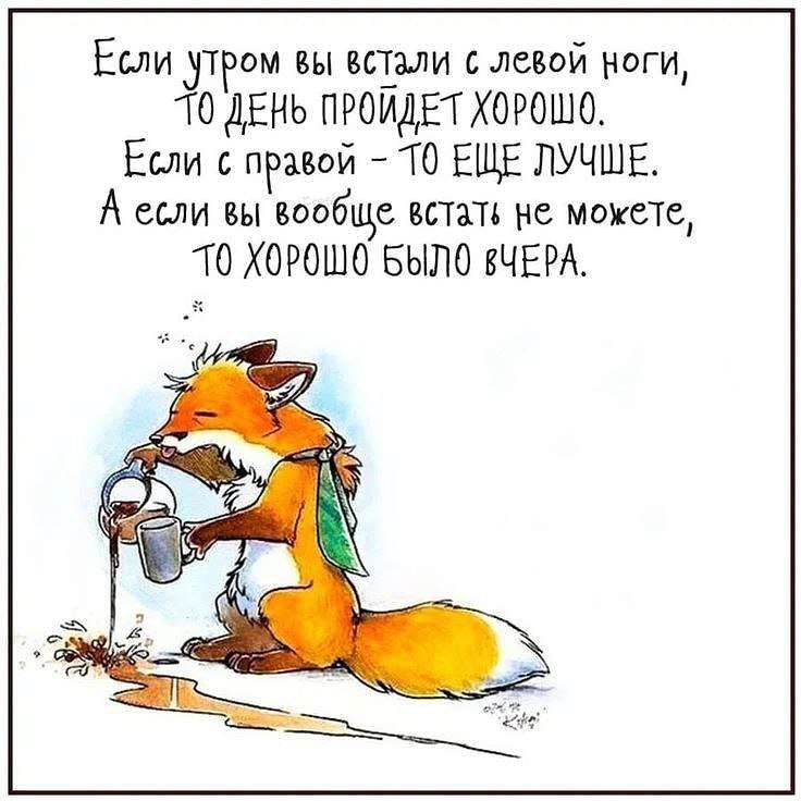 Если тром вы встали славой ноги одЕнь проидвтхорошо Если с правой ТО ЕЩЕ ЛУЧШЕ А если вы вообще вши не можете ТО ХОРОШО БЫЛО ВЧЕРА