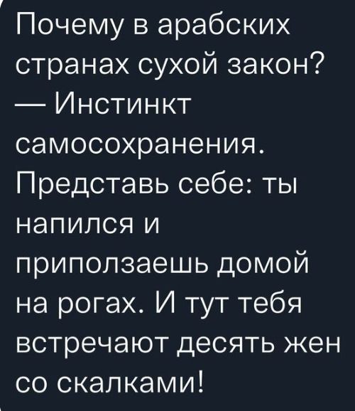 Почему в арабских странах сухой закон Инстинкт самосохранения Представь себе ты напился и припопзаешь домой на рогах И тут тебя встречают десять жен со скалками