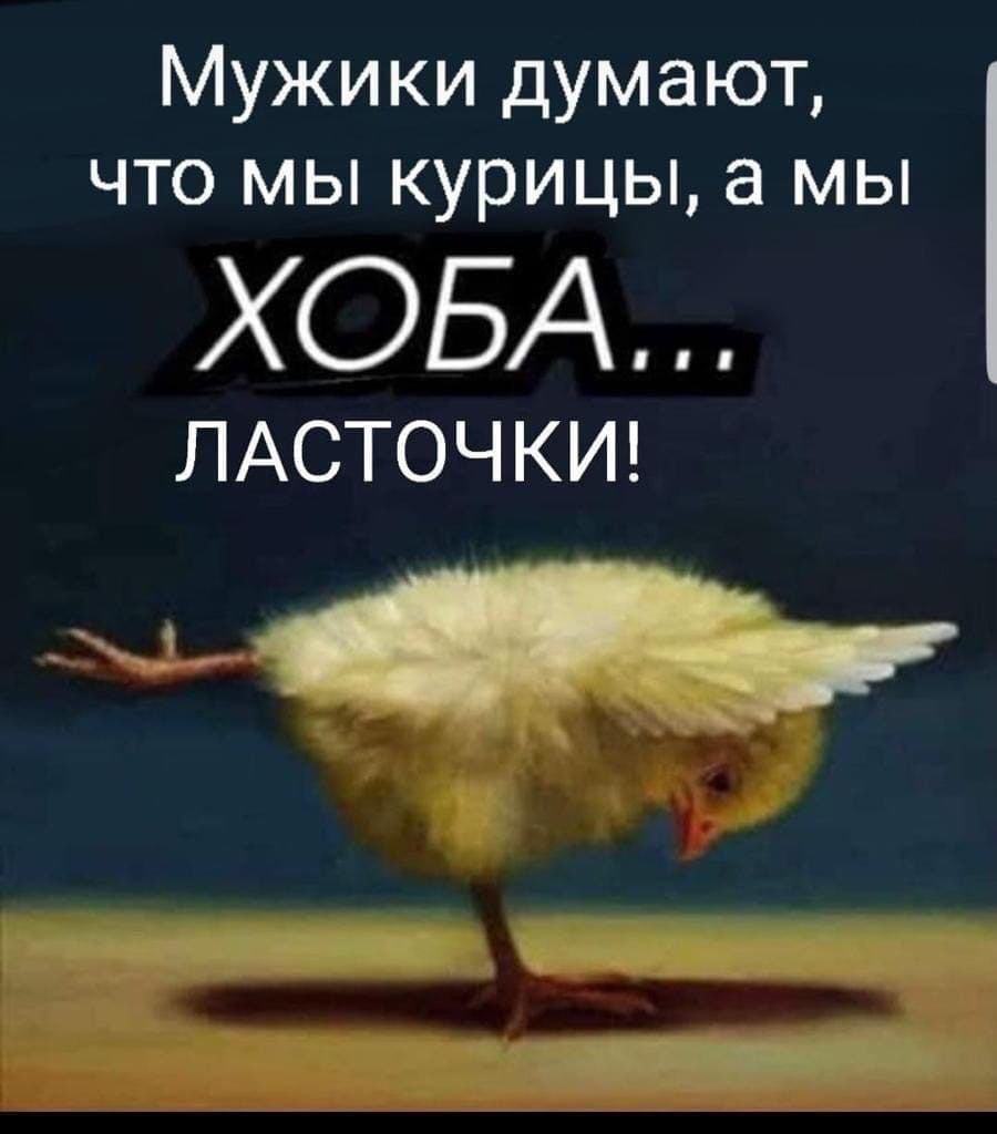 Мужики думают что мы курицы а мы ХОБА ЛАСТОЧКИ