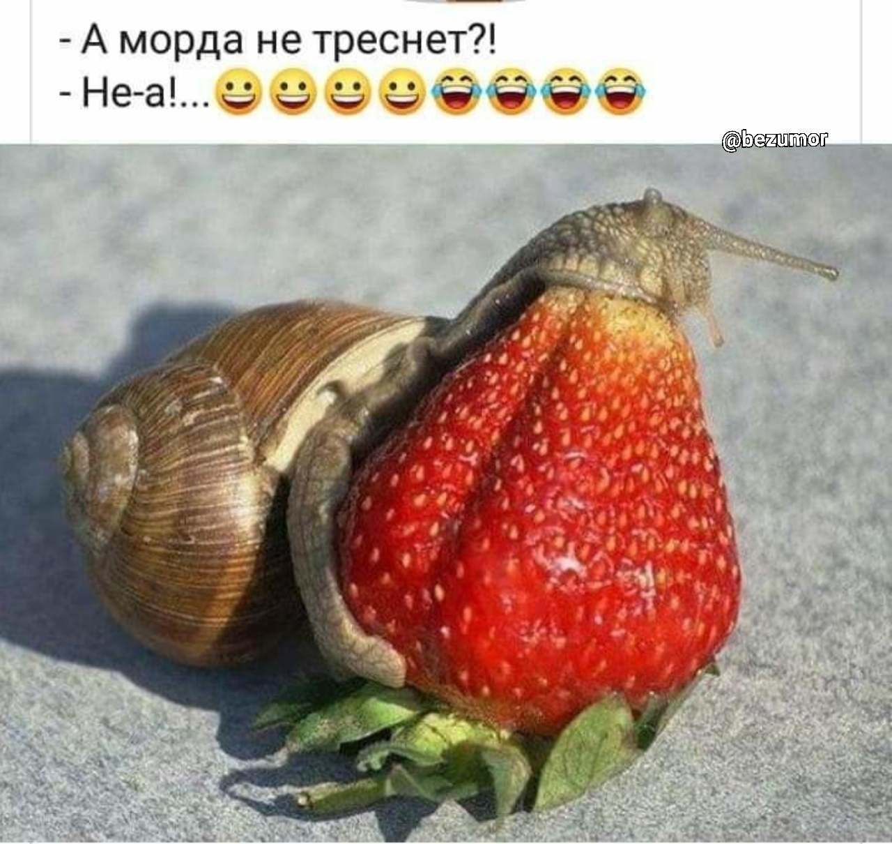 7 А морда не треснет Не а сыниш