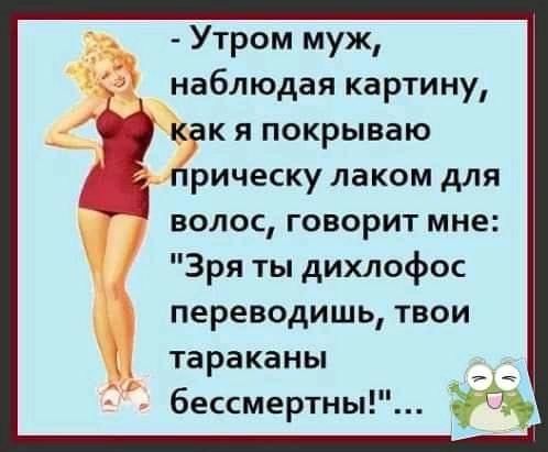Утром муж наблюдая картину как я покрываю прическу лаком для волос говорит мне Зря ты дихлофос переводишь твои тараканы бессмертны