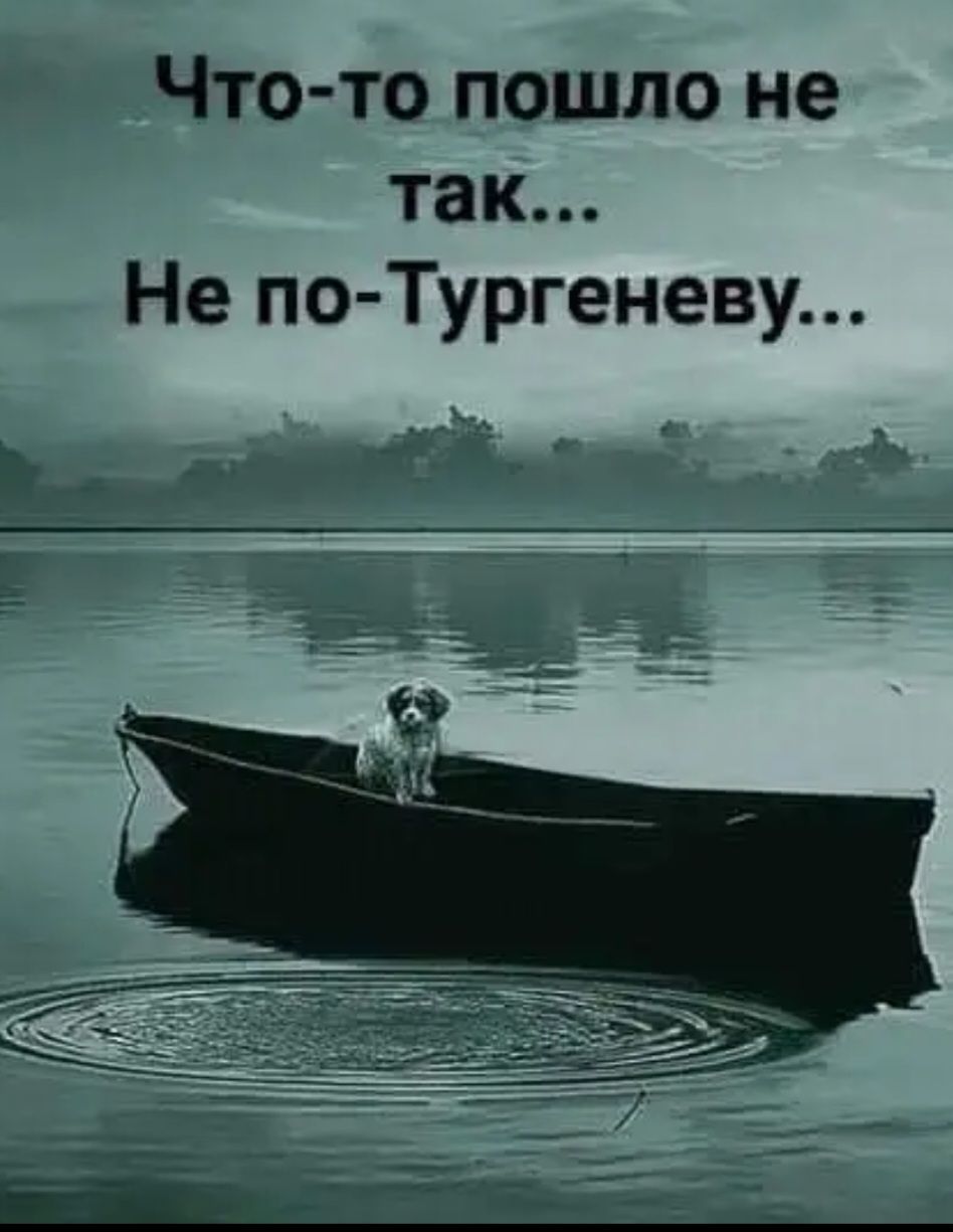 Что то пошло не так Не по Тургеневу
