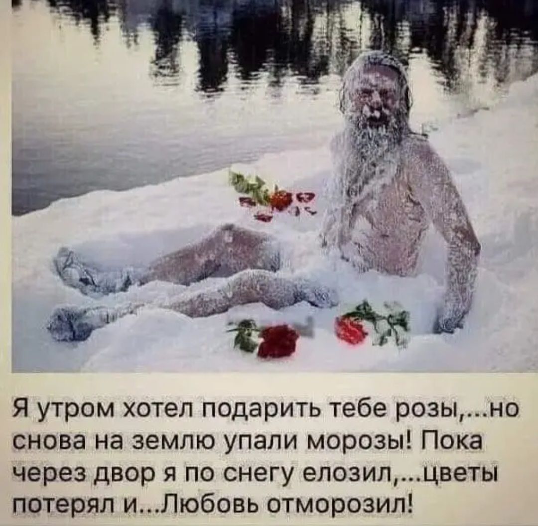 Я утром хотел подарить тебе розыно снова на землю упали морозы Пока через двор и по снегу елозилцветы потерял иЛюбовь отморозип