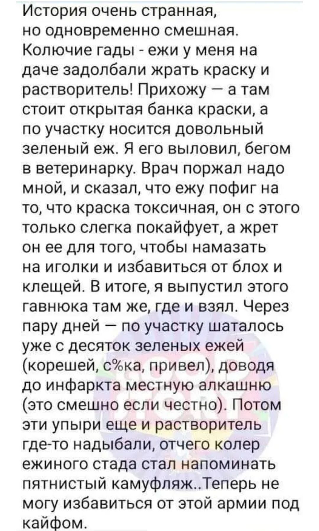 История очень странная НО ОДНОВРЕМЕННО смешная Копючие гады ежи у меня на даче задолбали жрать краску и растворитель Прихожу а там стоит открытая банка краски а по участку носится довольный зеленый еж Я его выловил бегом в ветеринарку Врач поржал надо мной и сказалчто ежу пофиг на точто краска токсичная он с этого только слегка покайфует а жрет он ее для тогочтобы намазать на иголки и избавиться о