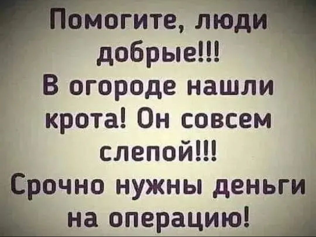 могите люд добрые В огороде нашли крота Он совсем слепой рочно нужны деньги на операцию