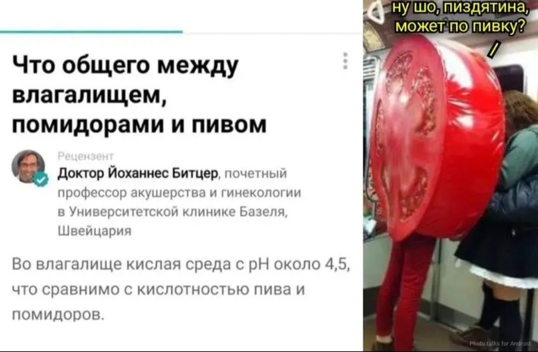 Что общего между влагалищем помидорами и пивом ишшо Ионии вито Во ыщшшщи и ц кош 5 привит пом щими и