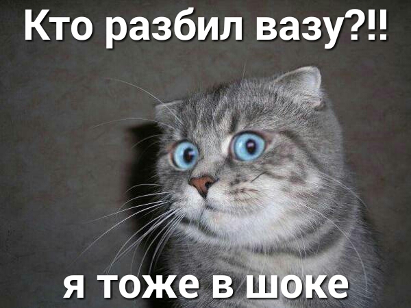 Кто разбил вазу я Тоже и