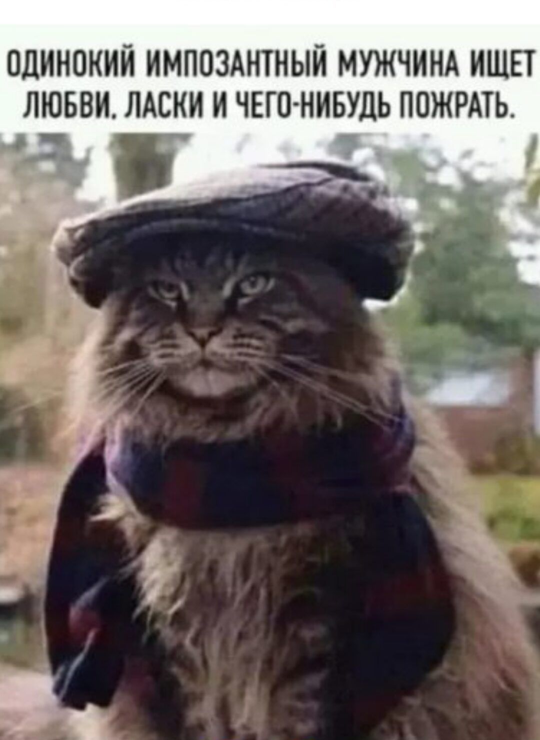 одинокий имппзднтный МУЖЧИНА ишвт лювви ЛАСКИ и ЧЕГО НИБУДЬ пожить _ п