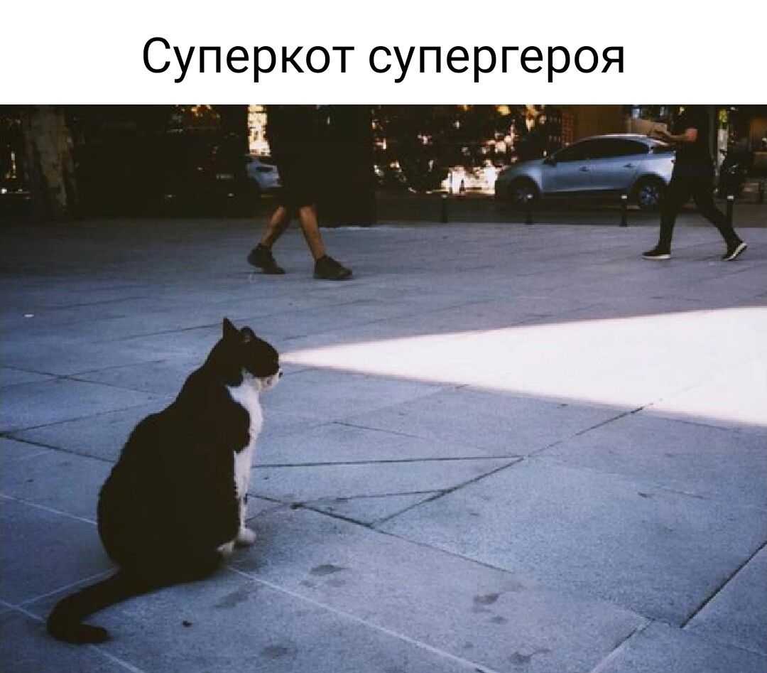 Суперкот супергероя 11