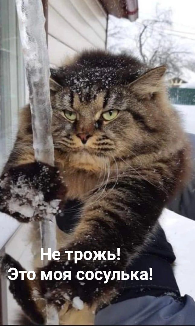 і трожь моя сосулька