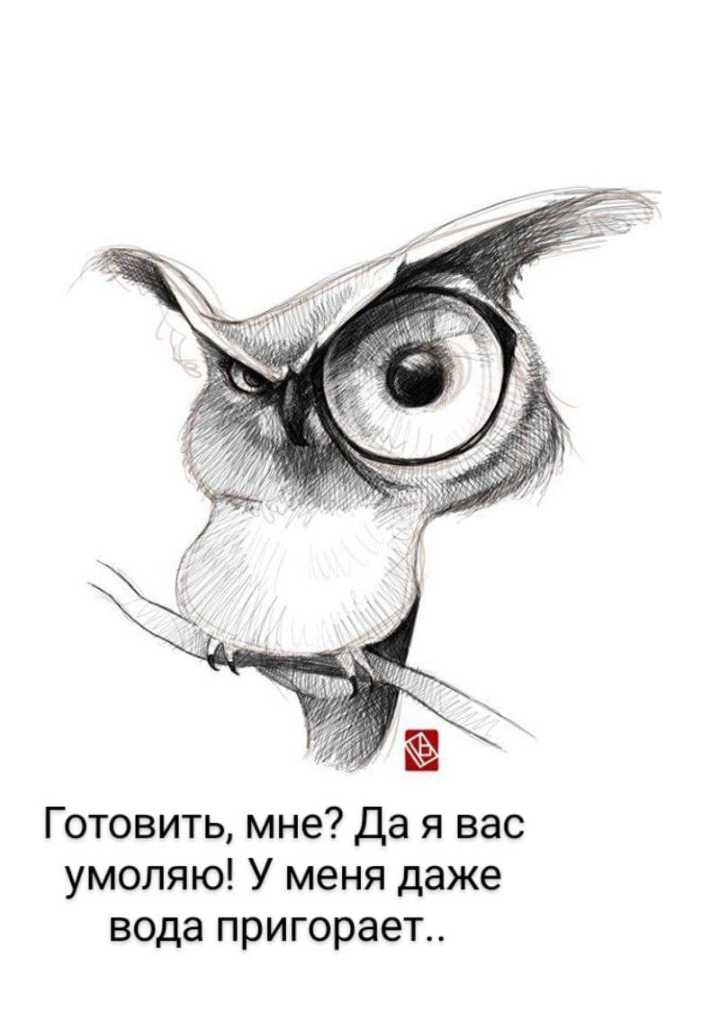 Готовить мне Да я вас умоляю У меня даже вода пригорает