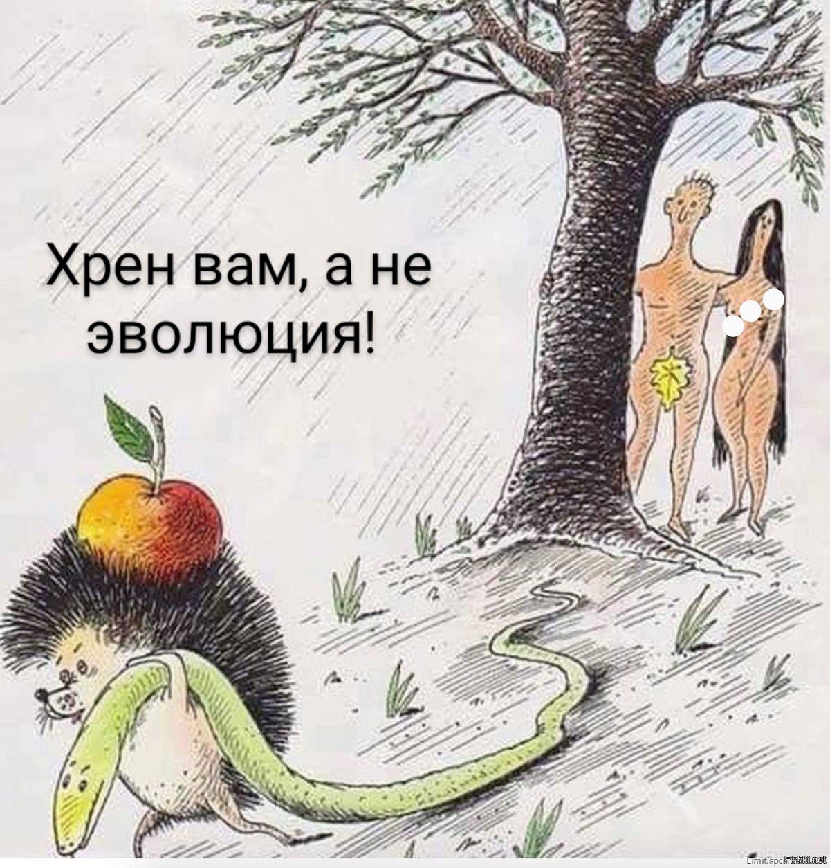 Хрен вам а не эволюция