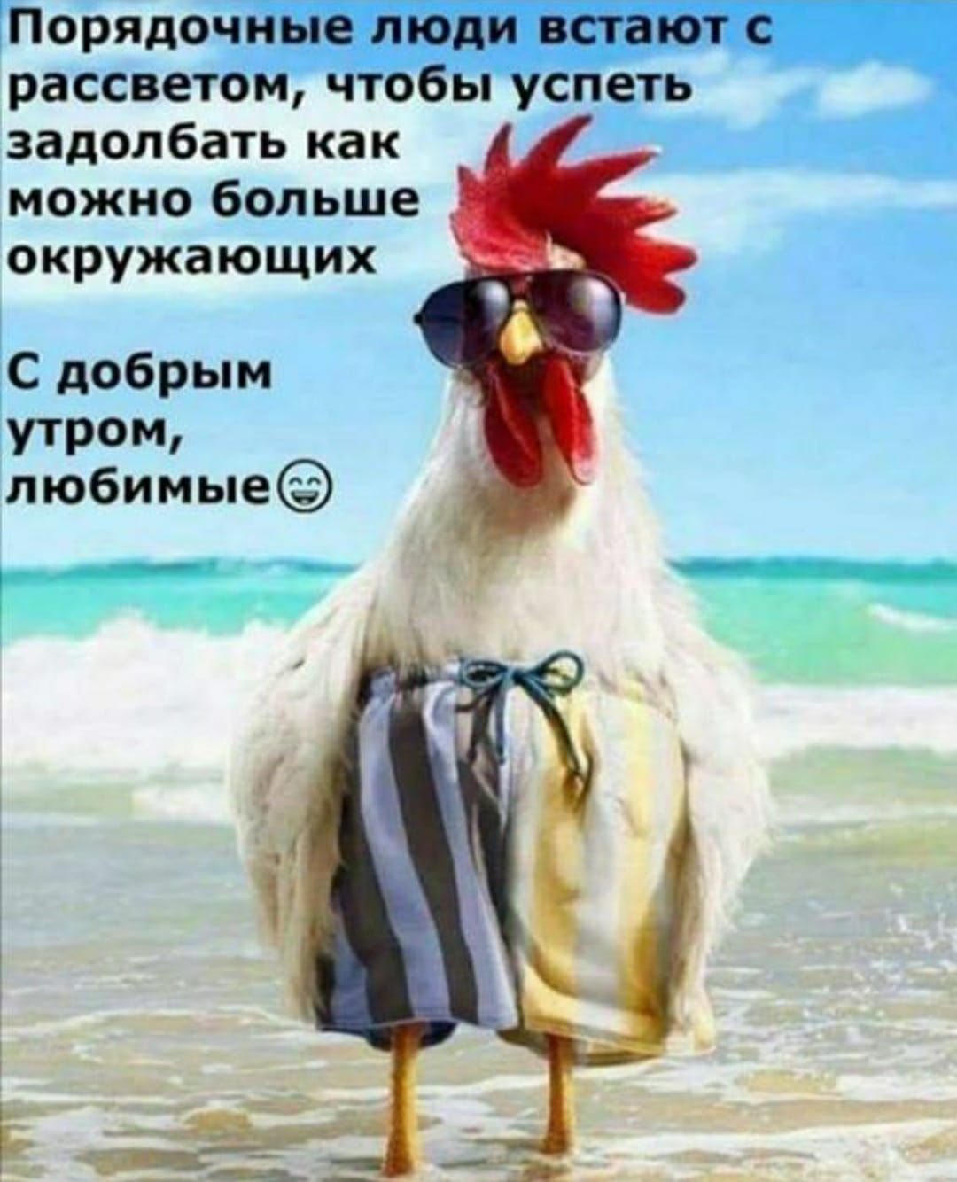 Порядочные люди встают рассветом чтобы успеп задолбать как можно больше окружающих С добрым утром пюбимые