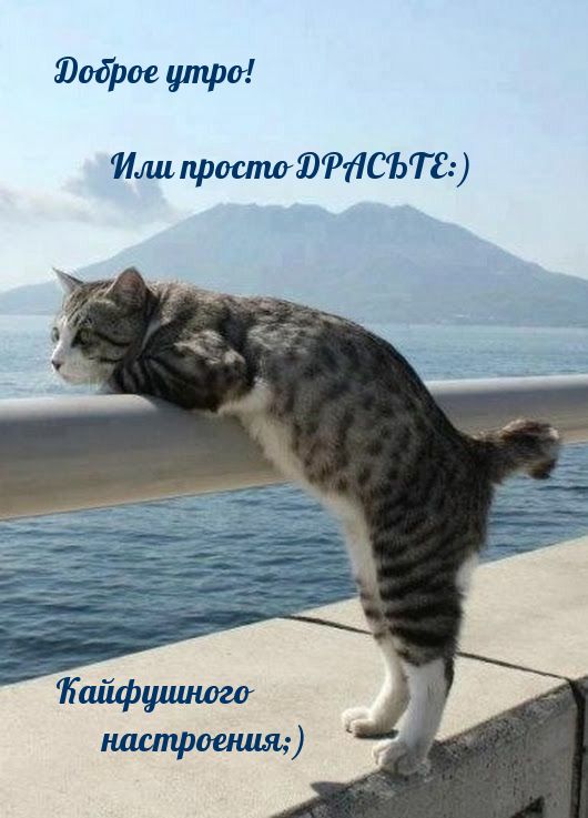 доброе утро Или фоипиЮРЛСЪТЕ