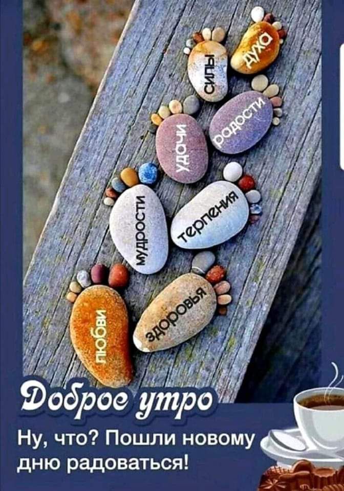 Фофщит Ну что Пошли новому дню радоваться