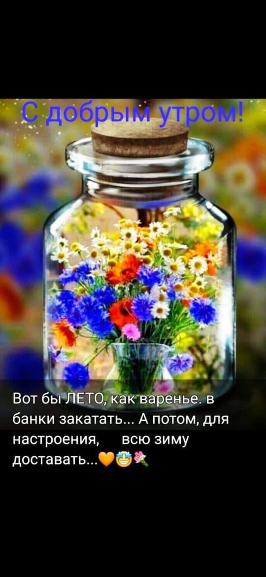 банки закатёть А потом для настроения всю зиму доставать