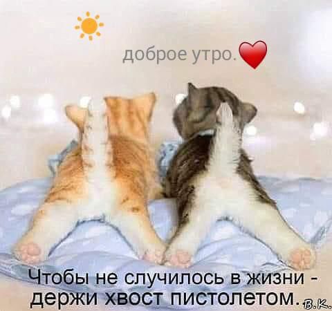 илось вжизни ИЁГОЛетопп