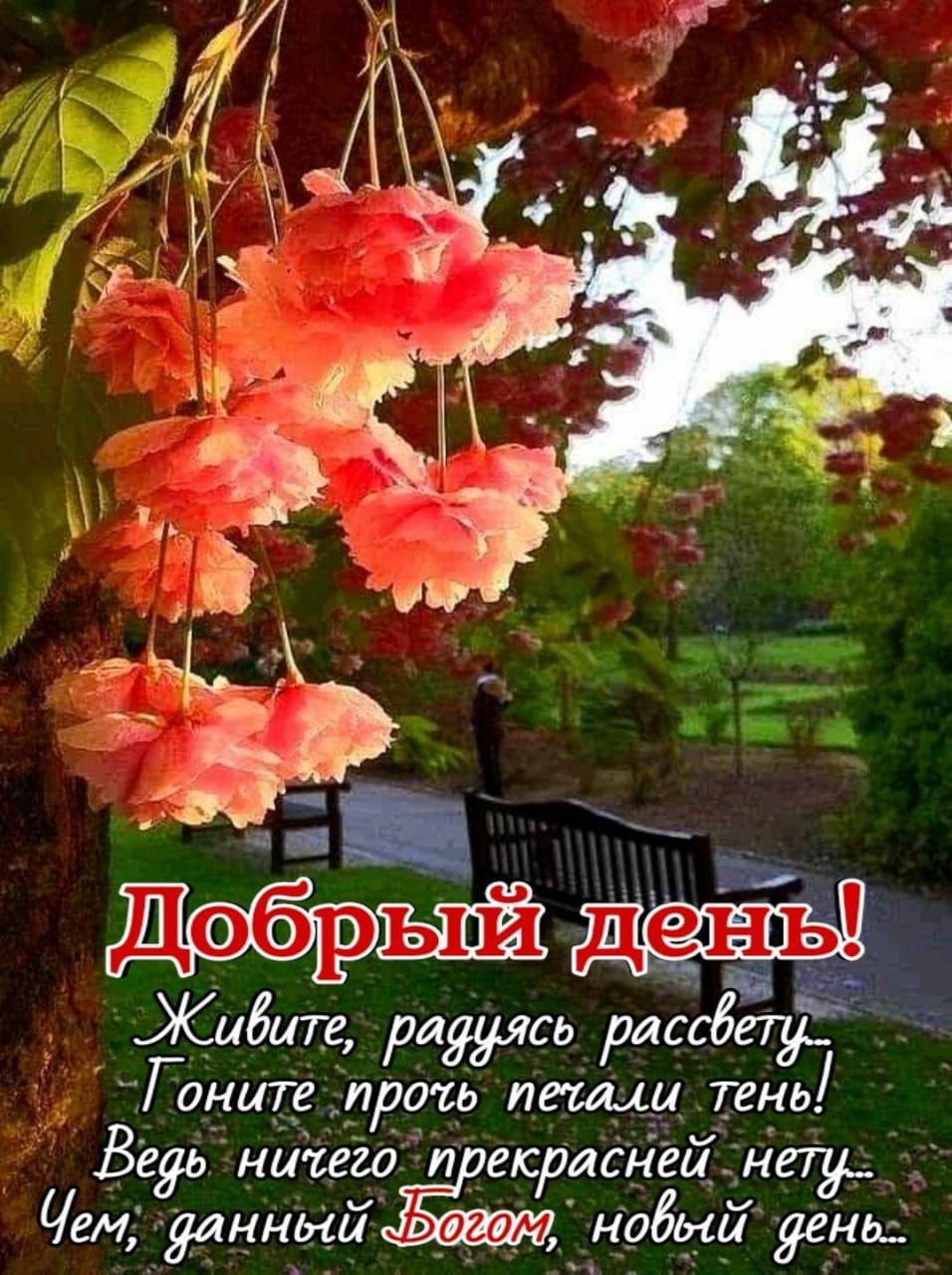 Жибипе радуясь диабету Гонирерршь пеши тень Вгдь ниіего и третей нет Чем данный Бит Кобый дева