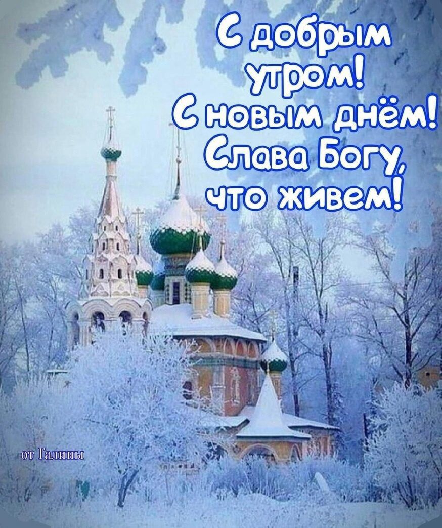 живем г