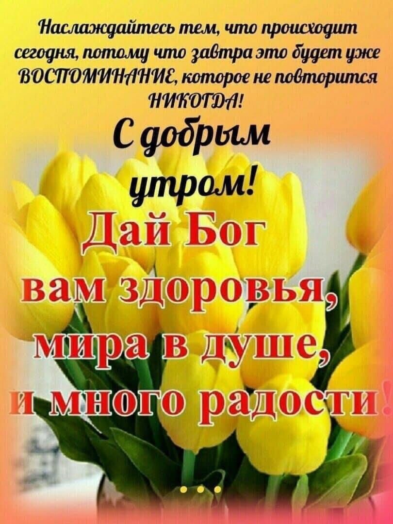 Наслаждшітш тем чта пропадании шорт допишу что 11 это будил рюе ВЁШЁЖИРМНИС котороекв Мпррипшя НИМИ