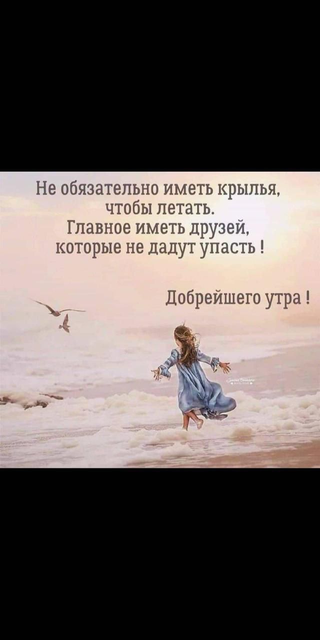 Не об атепыю иметь крылья чтобы летать Главное иметь Дру которые не дадут упак ть Добрейшего утра