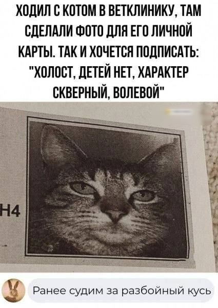 ходил с котом в ввтклиникм тдм сдЕлдли Фото для ЕП личной кдгты тдк и хачпся ппдписАтЬ холост ЛЕТЕЙ нп ХАРАКТЕР сквврный вплввпй 1 ч Ранее судим за разбойный кусь