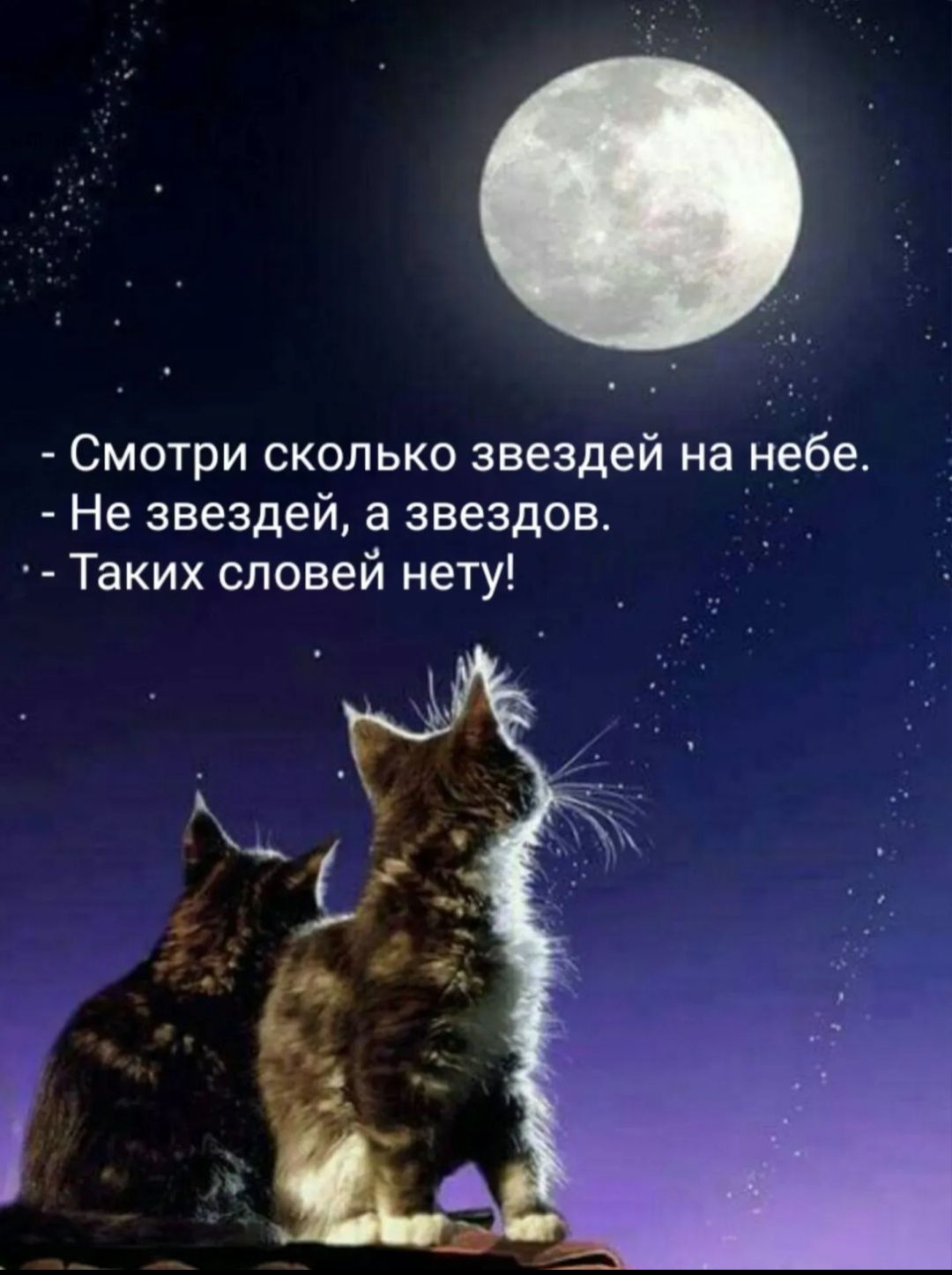 Смотри сколько знездей на небе Не звездей а заездов Таких словей нету