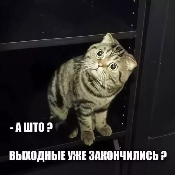 л6