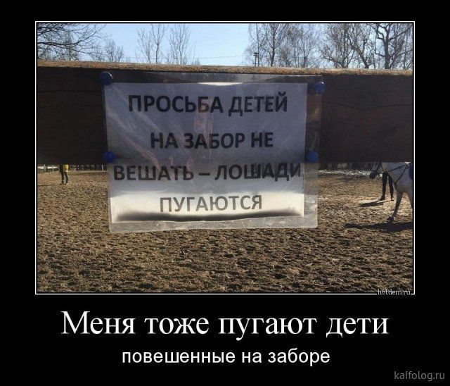 Меня тоже ПУГШОТ ДСТИ повешенные на заборе