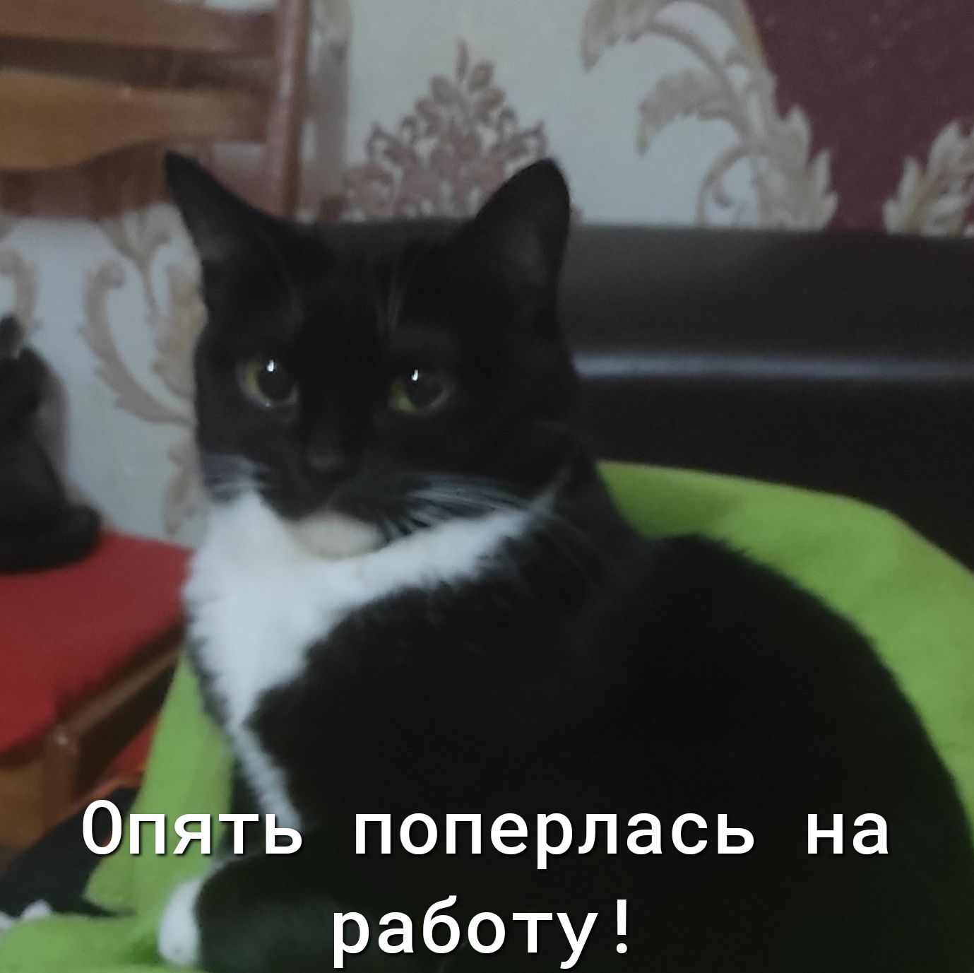 Оазт поперлась на в работу