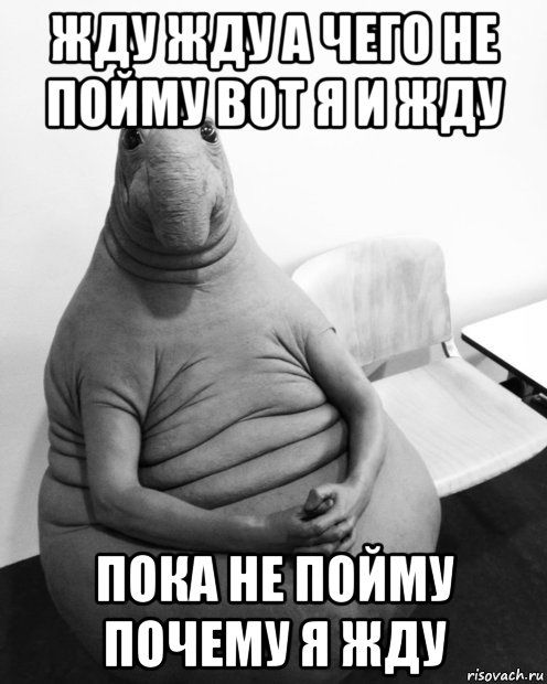 понд НЕ пойму почему я жду