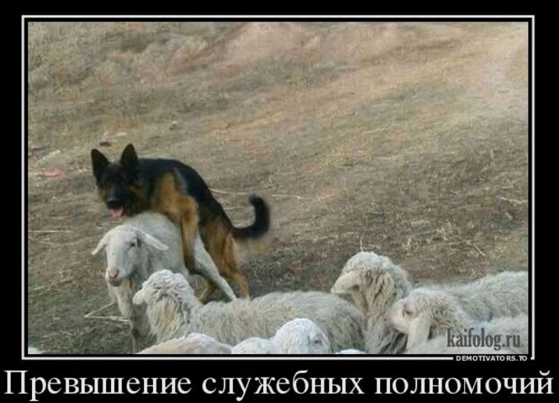 Превышение служебных полномочий
