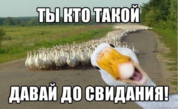 ты итогтдн9й А ддВдЙ до свидания