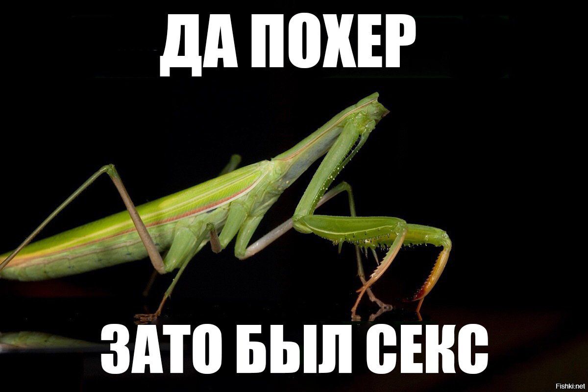 вито выпсню