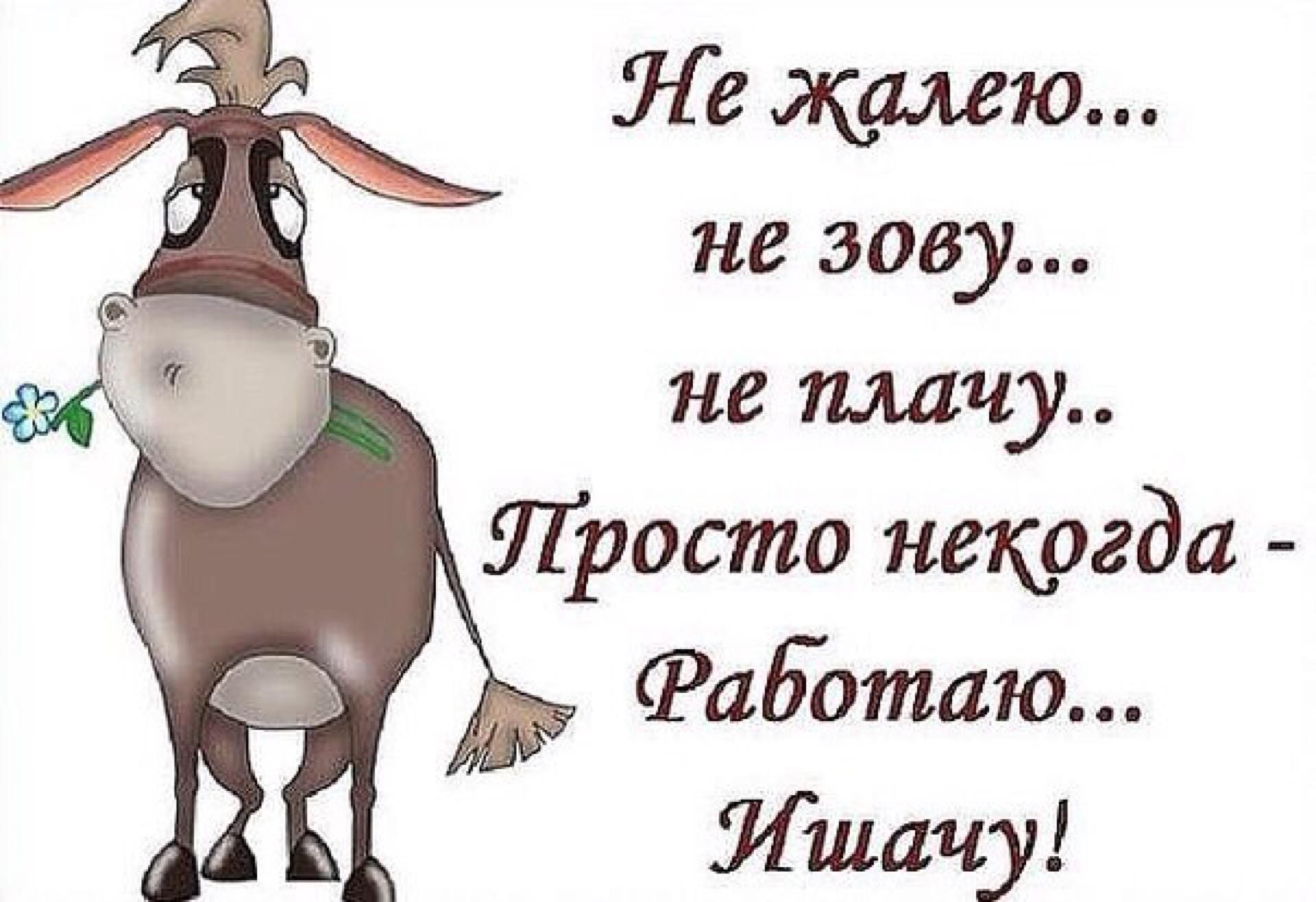 Ле жалею не зову не плачу Просто некогда Работаю Ишачу