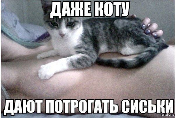 дпют ПВТРШМЬ ВИВЬНИ __ АААЗЬ п