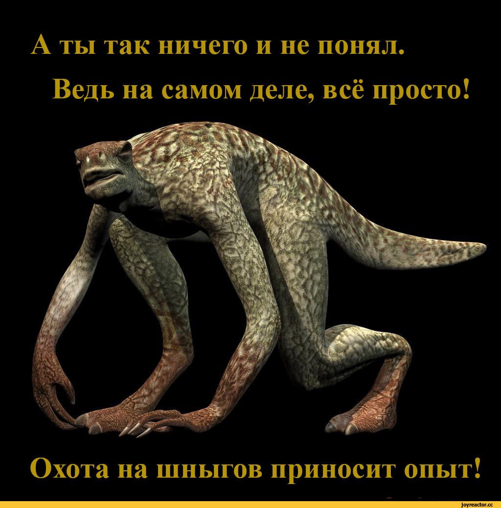 А ты так ничего и не понял Ведь на самом деле всё просто Охота на шныгов приносит опыт
