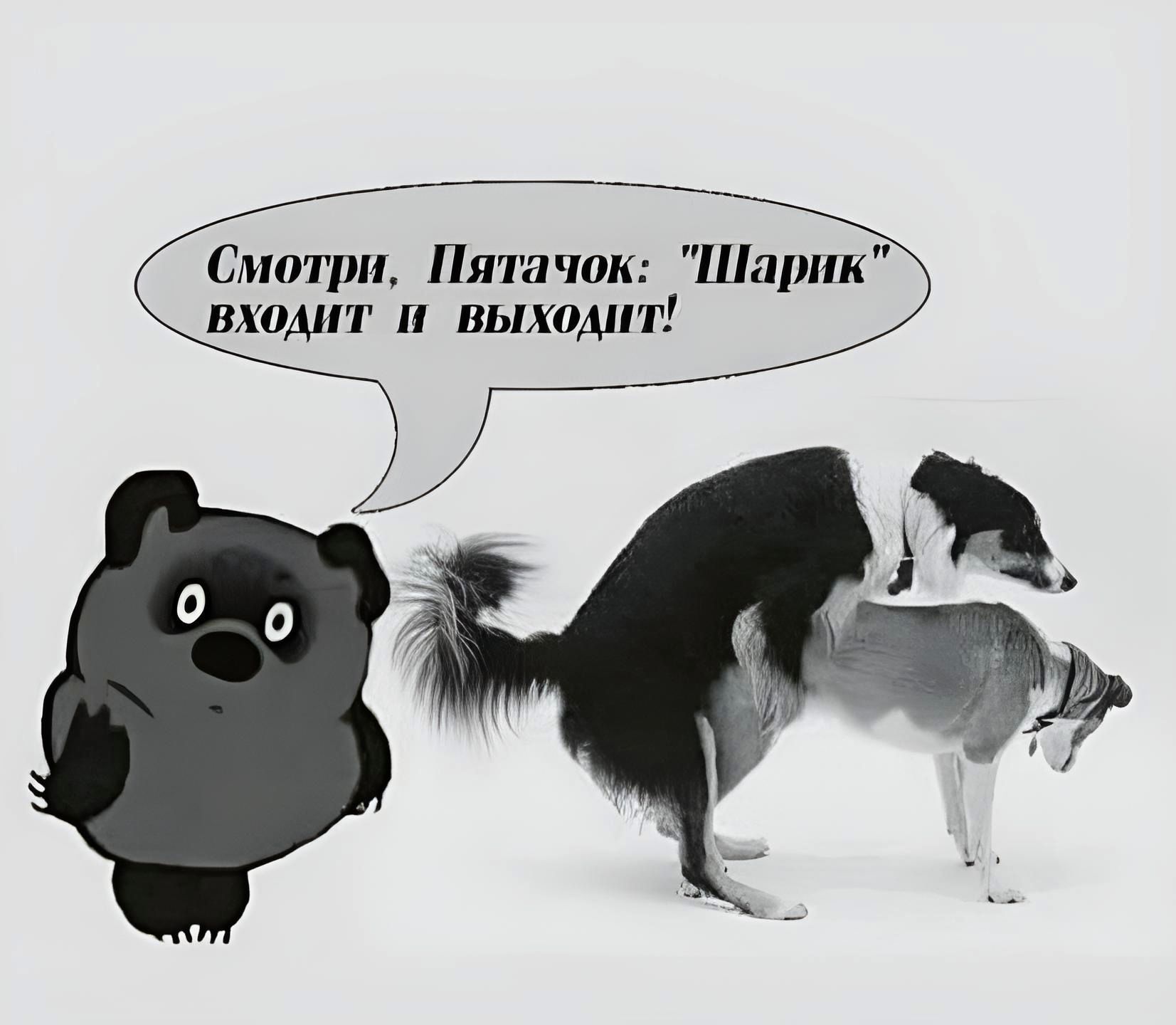 Сммуш Пятачок Шщшк шамп выходят