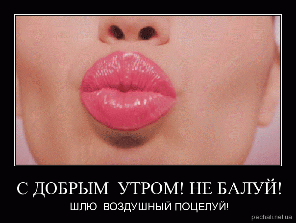 Дай поцелую губы. Воздушный поцелуй смешной. Подарок сделанный своими губами. Утренний поцелуйчик. Шлю поцелуй.