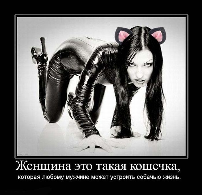 Женщина это такая кошечщ каторая любому устроить собачью Маин