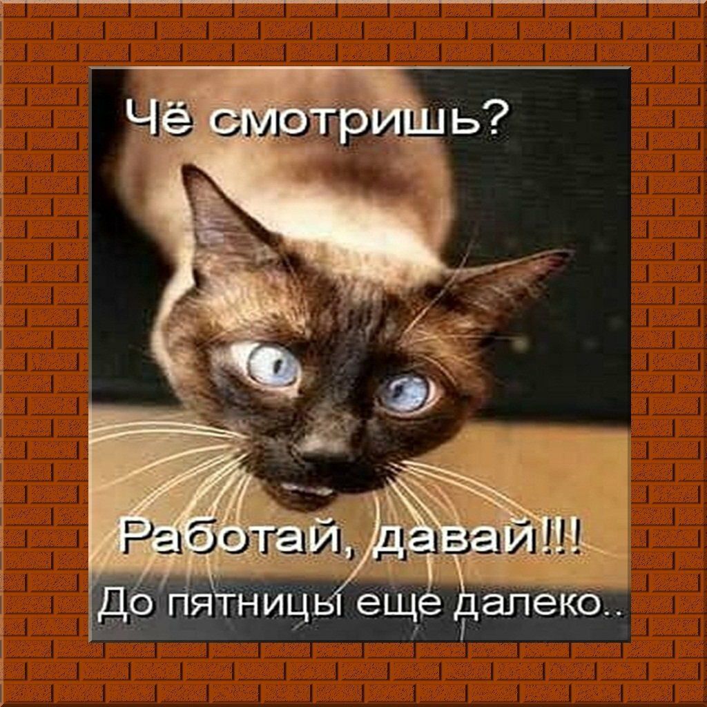 11 Работзій