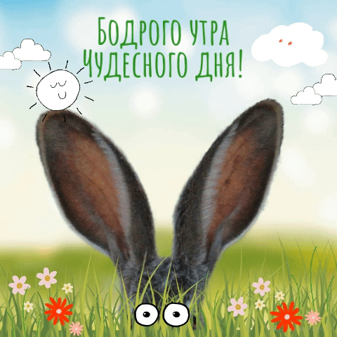 __ Ьодгого ЧТРА ччдыною ДНЯ