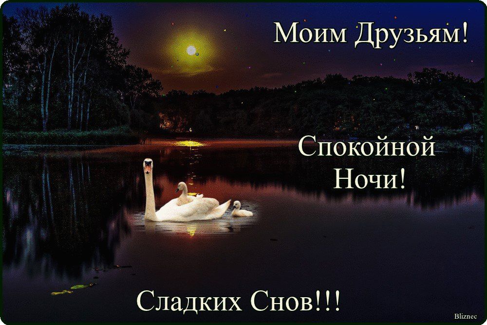 Моим Друзья Спокойной Ночи Сладких Снов