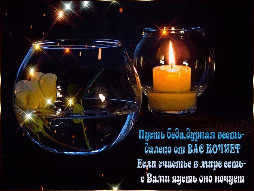 ч Пут пишит аш Митты в мире ит дип шт от ищет