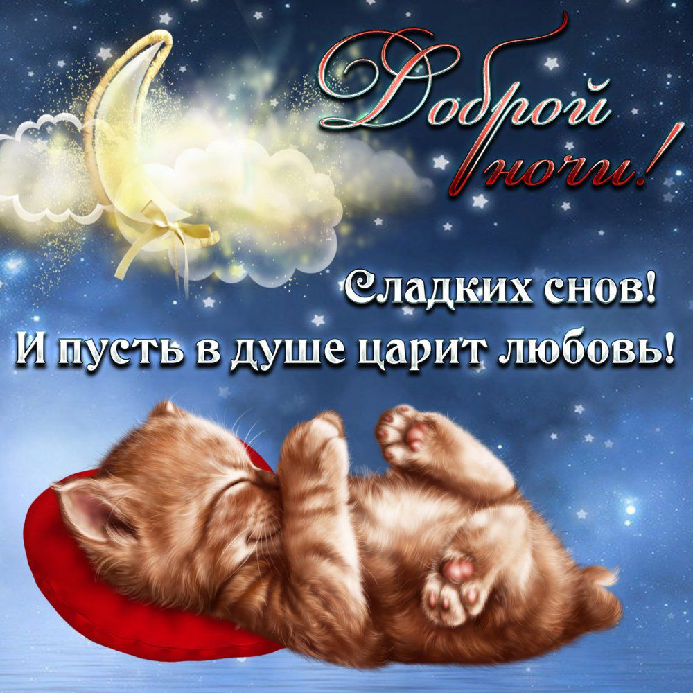 Злрдюих снов в душе царит лтбтвы
