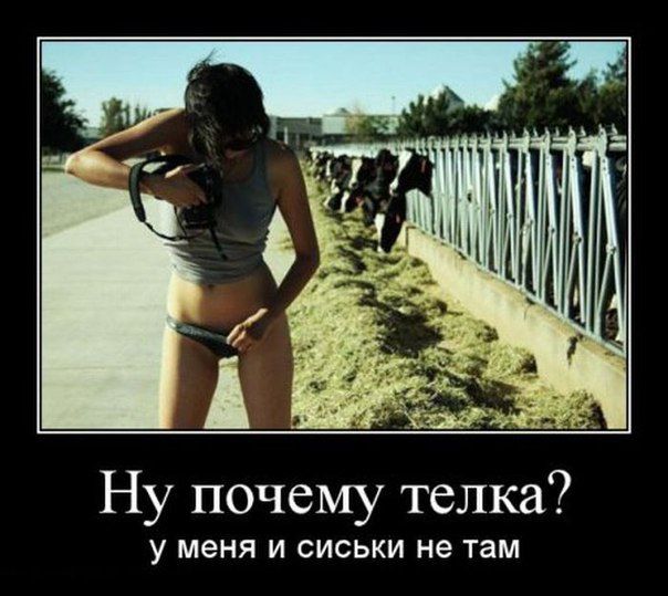 Ну почему телка У МЕНЯ И СИ КИ не ТЕМ